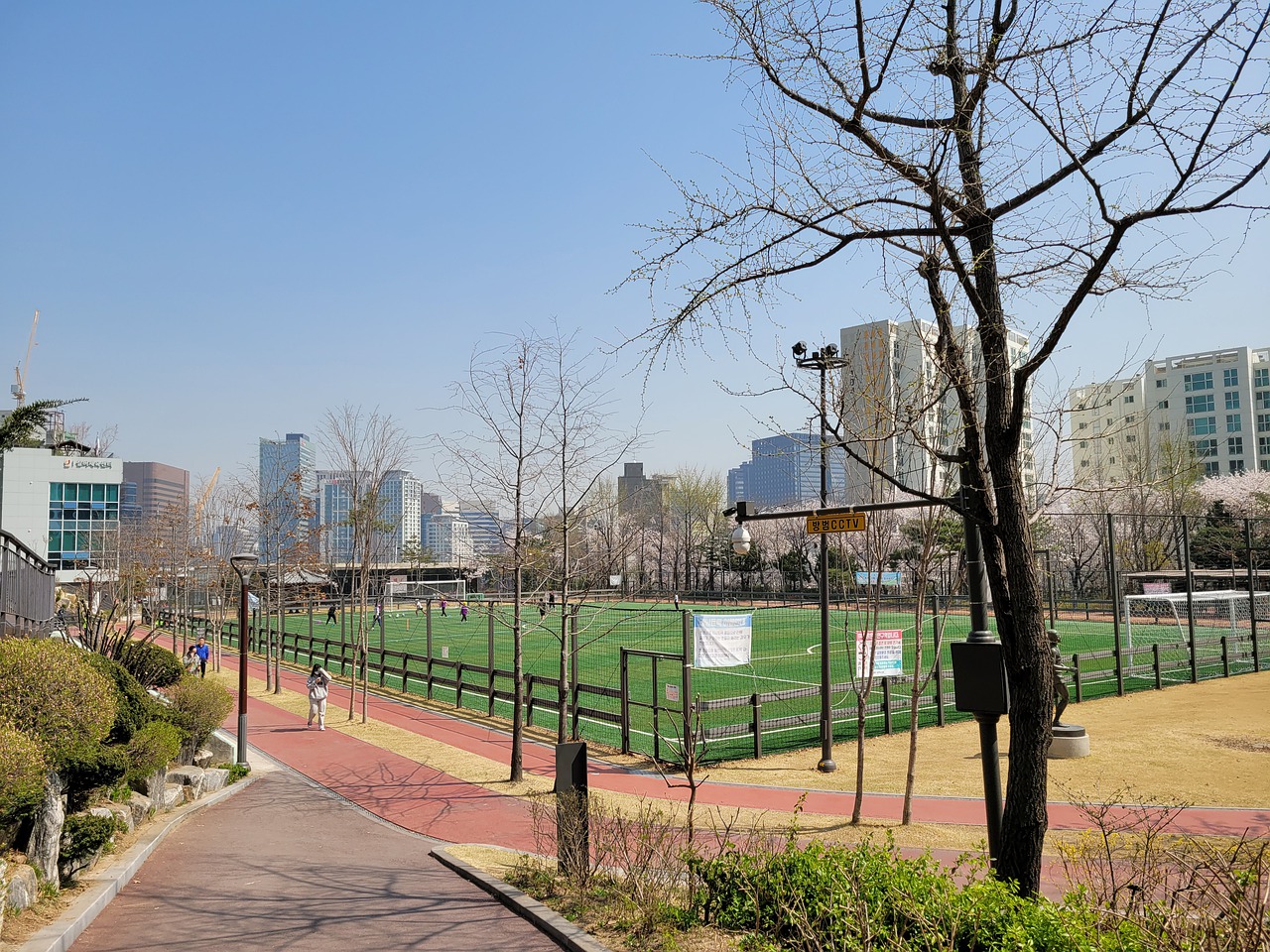 中的足球标 中的足球标