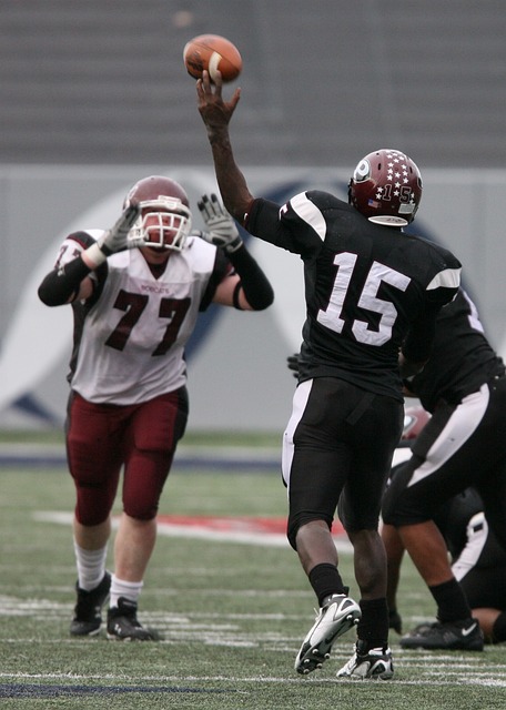 了冬季运动 了冬季运动