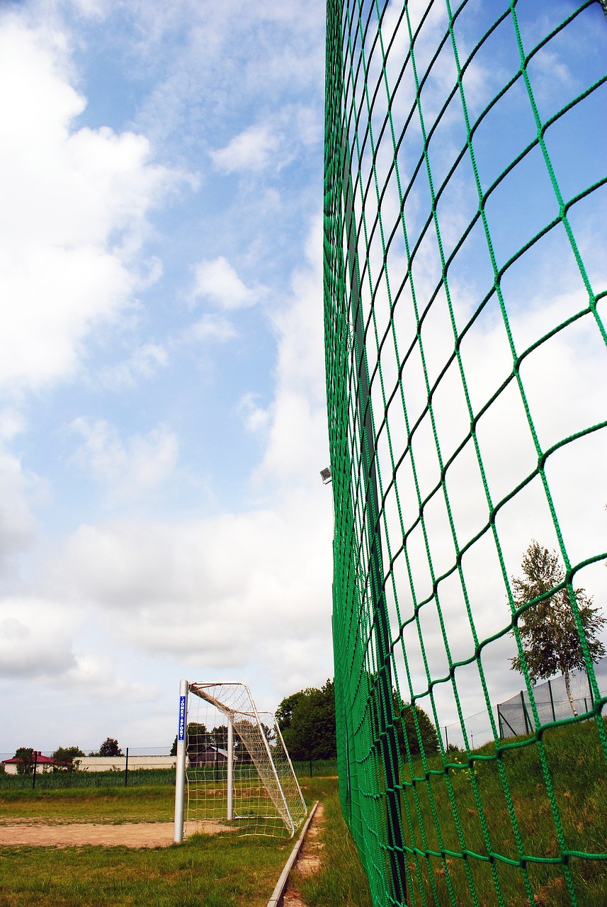 亚冬会不仅 亚冬会不仅