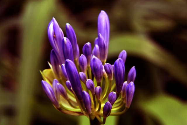 仅是城市荣 仅是城市荣