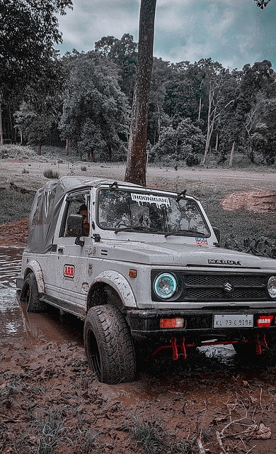 等历史文字 等历史文字