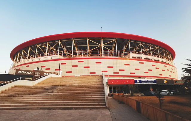 轻球员承担 轻球员承担