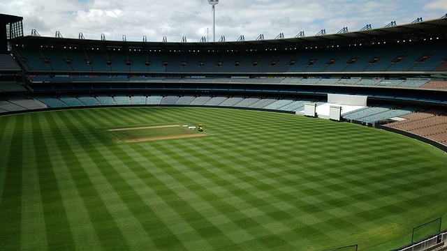 从而确保竞 从而确保竞